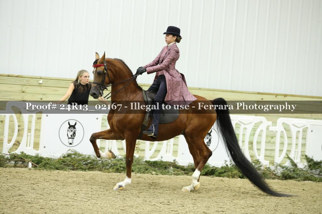 Proof Number 24R13_02167