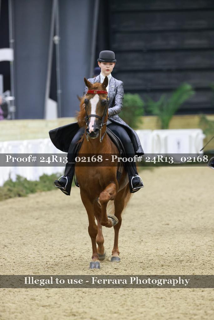 Proof Number 24R13_02168