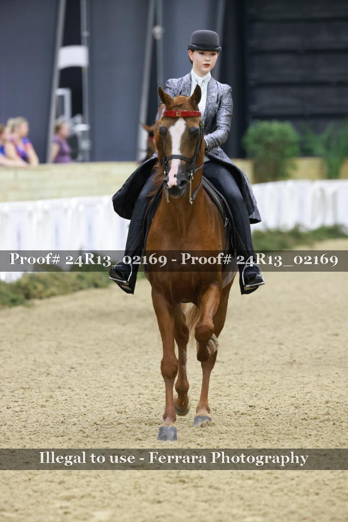 Proof Number 24R13_02169