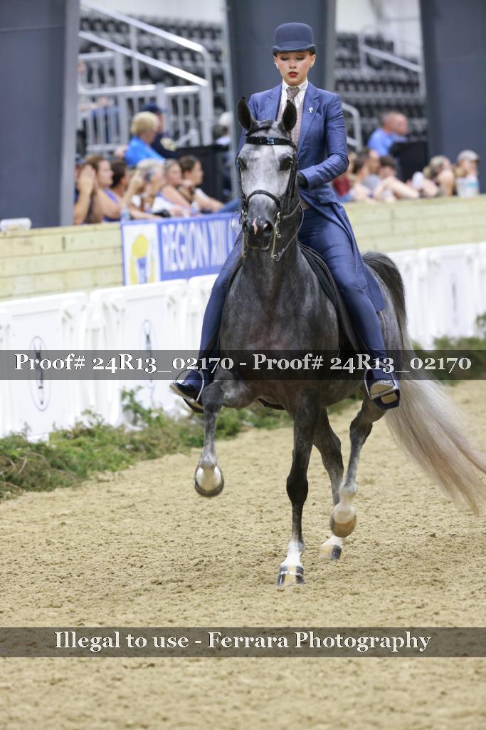 Proof Number 24R13_02170