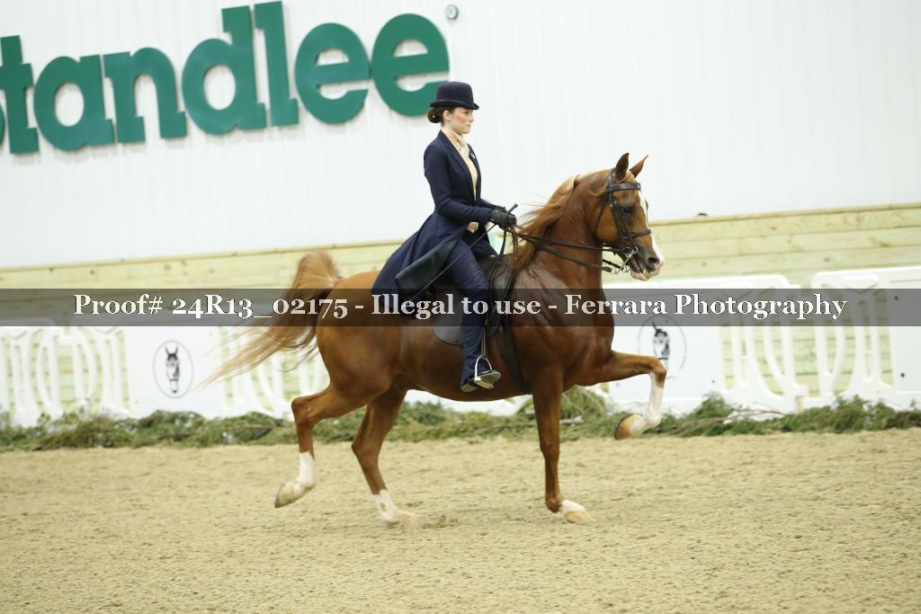 Proof Number 24R13_02175