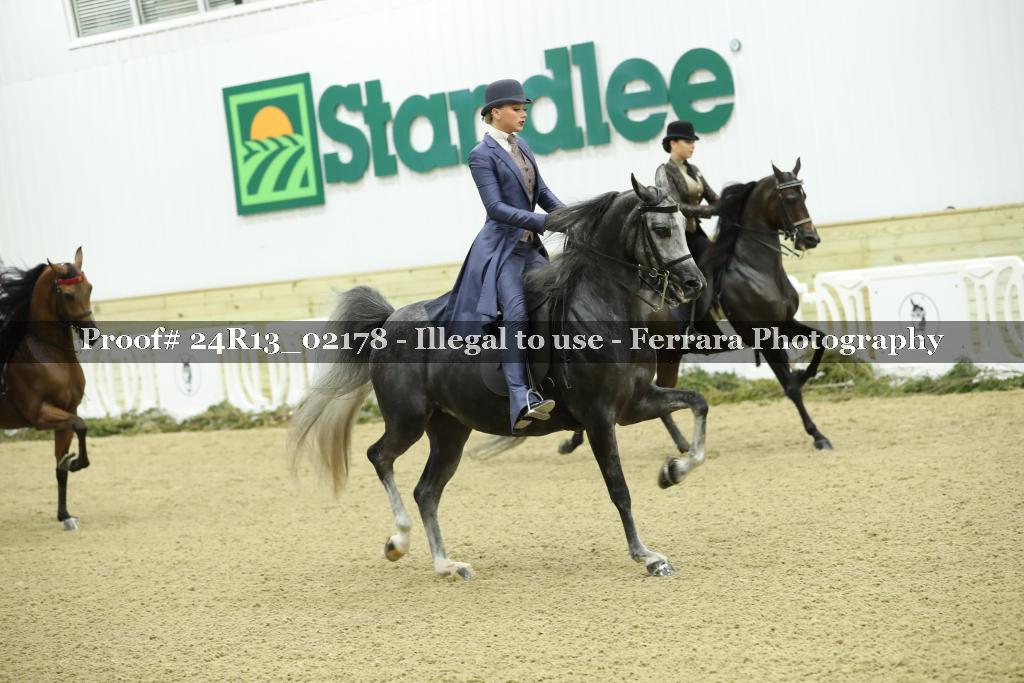 Proof Number 24R13_02178