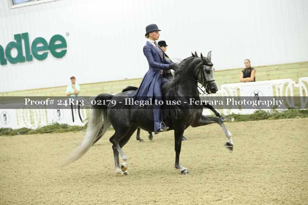 Proof Number 24R13_02179