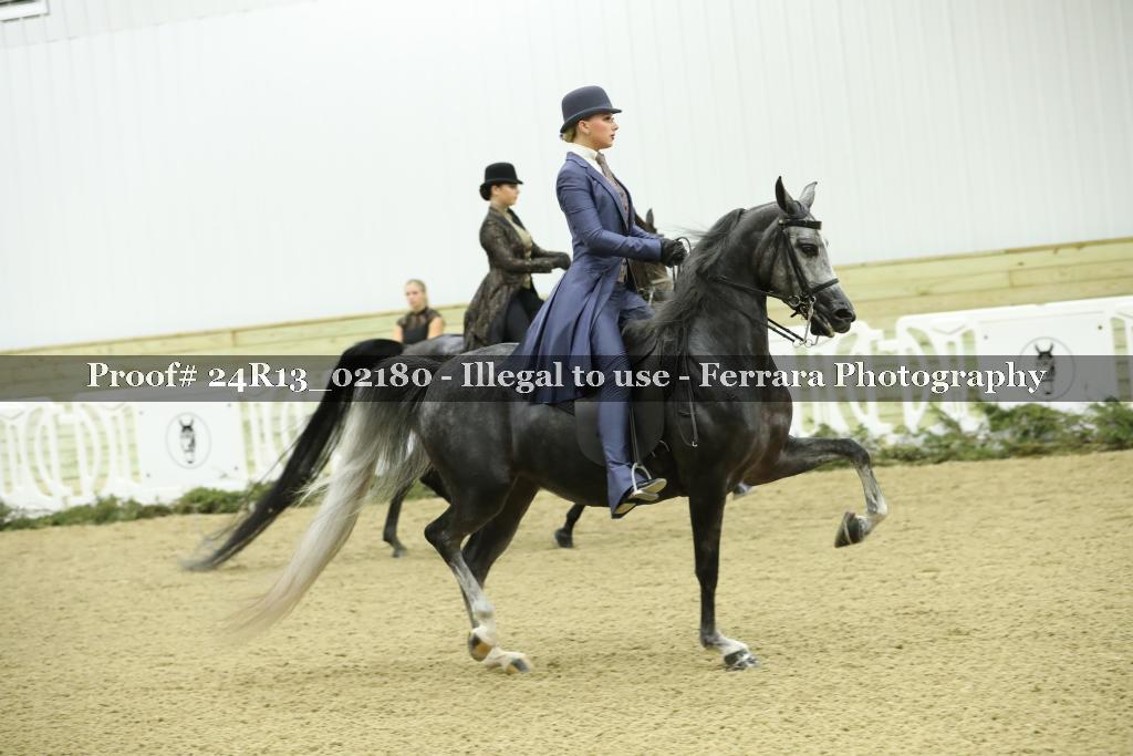 Proof Number 24R13_02180