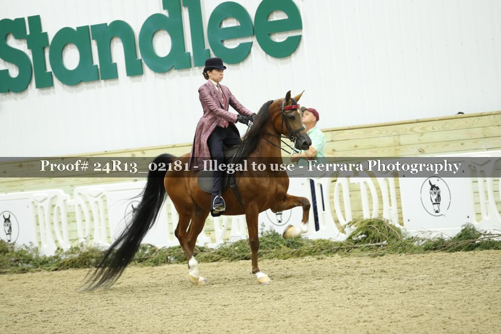 Proof Number 24R13_02181
