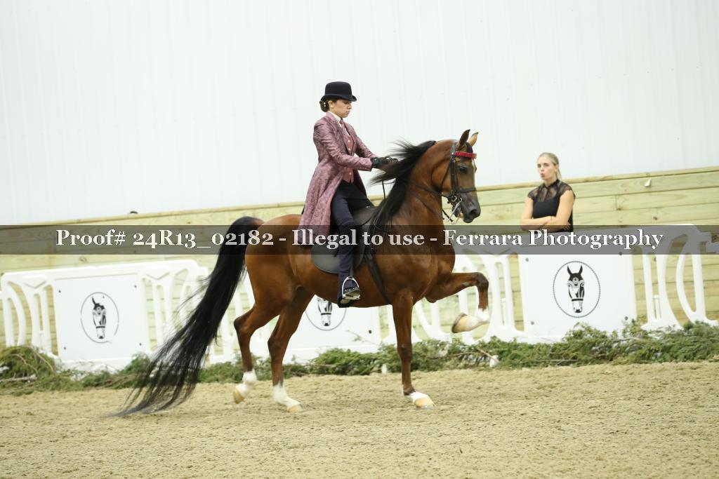 Proof Number 24R13_02182