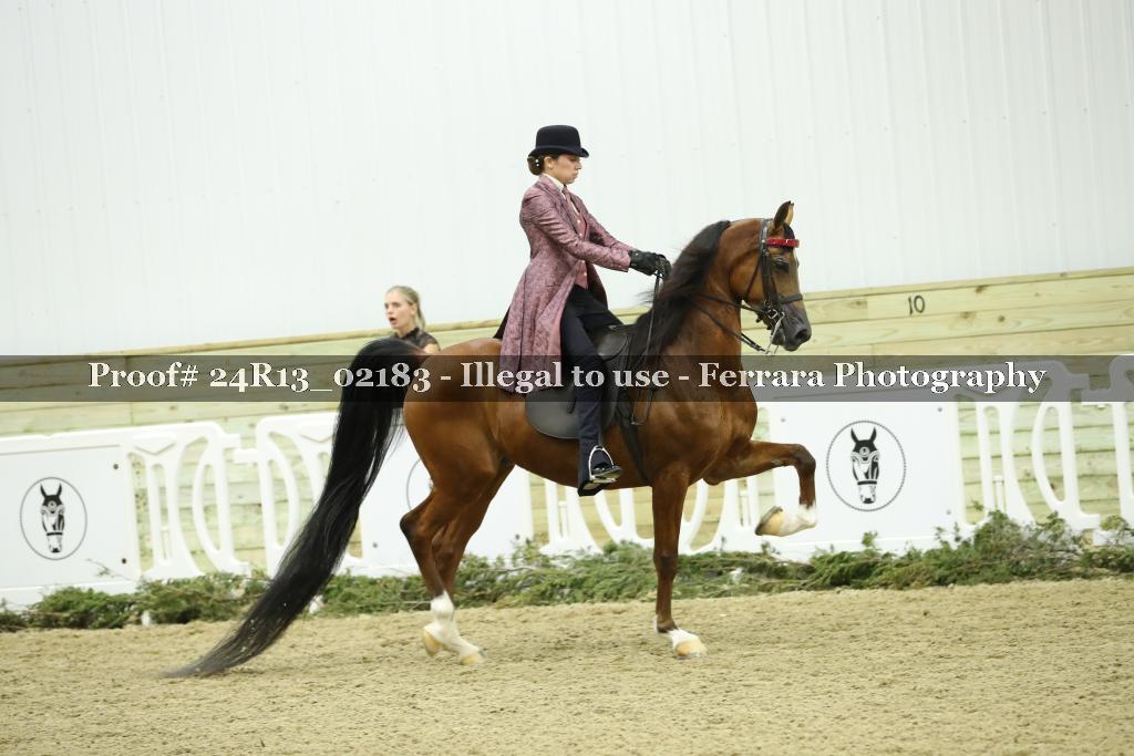 Proof Number 24R13_02183