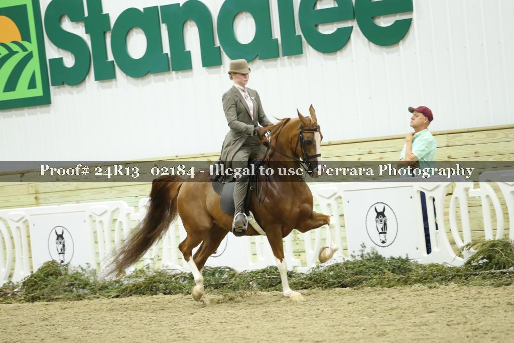 Proof Number 24R13_02184
