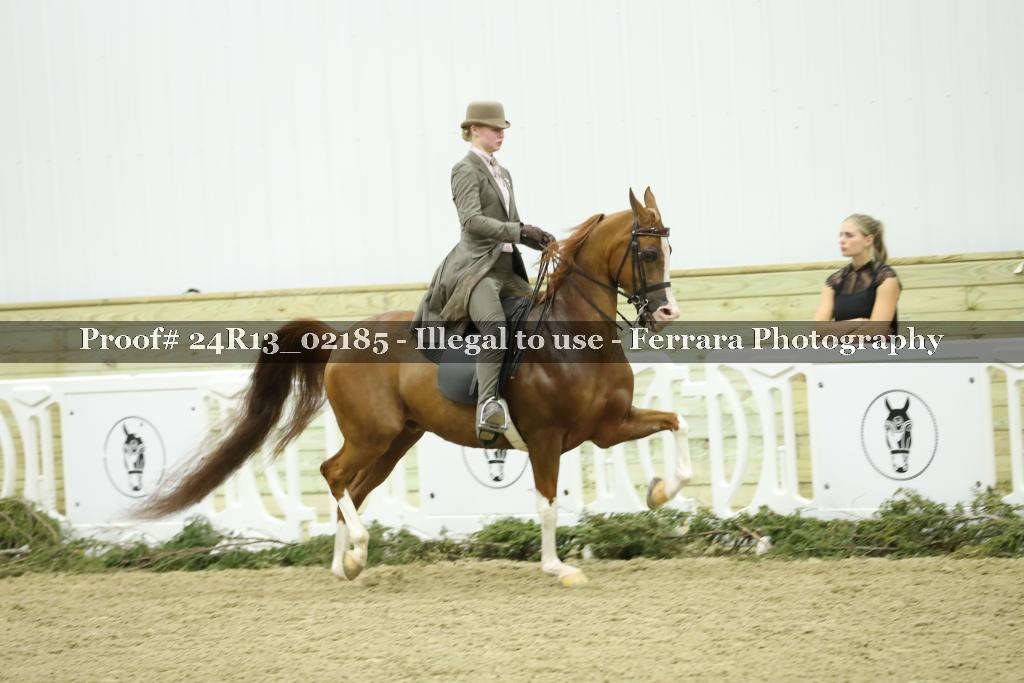 Proof Number 24R13_02185