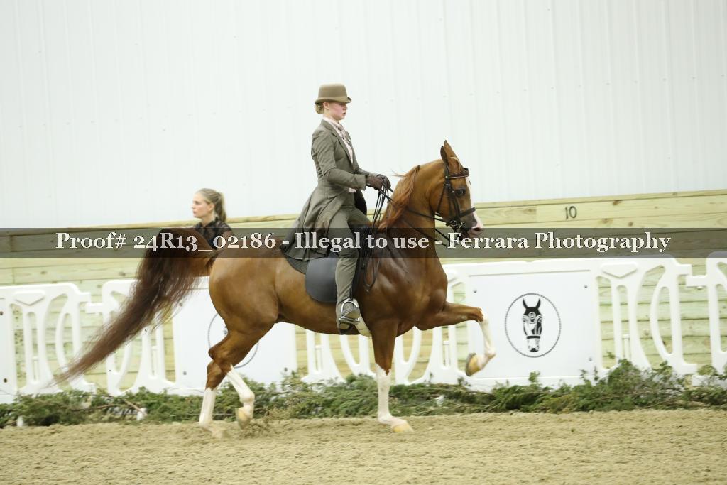 Proof Number 24R13_02186