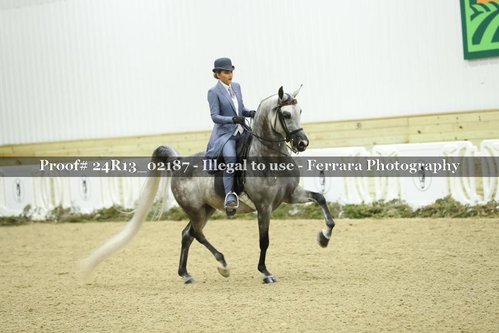Proof Number 24R13_02187