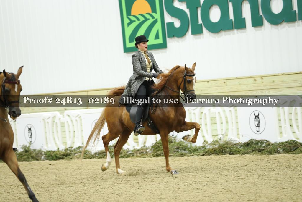 Proof Number 24R13_02189