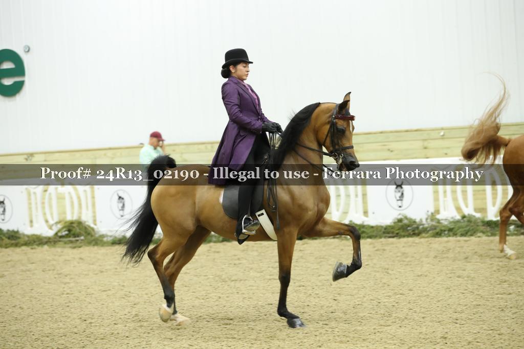 Proof Number 24R13_02190