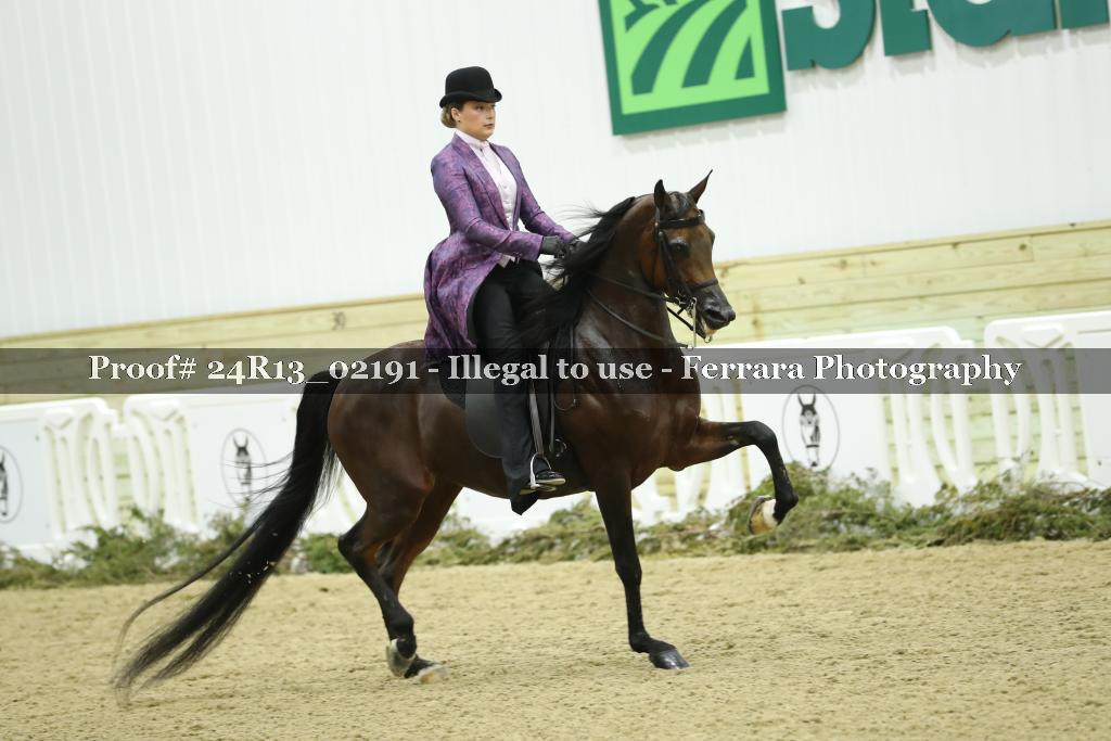 Proof Number 24R13_02191