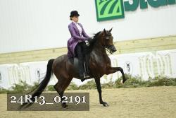 24R13_02191 thumbnail