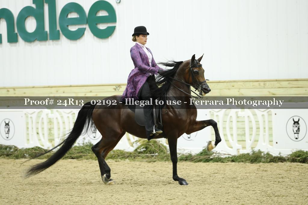 Proof Number 24R13_02192