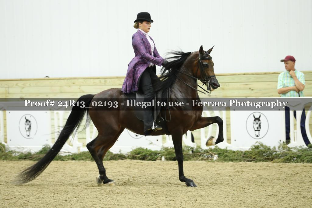 Proof Number 24R13_02193