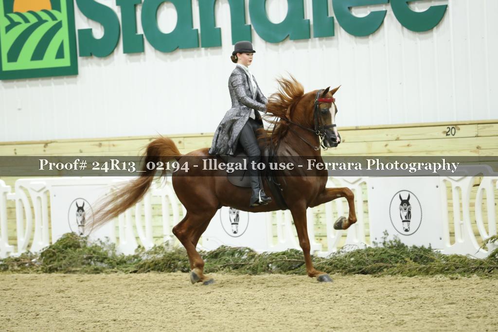 Proof Number 24R13_02194