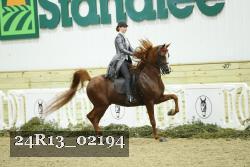 24R13_02194 thumbnail