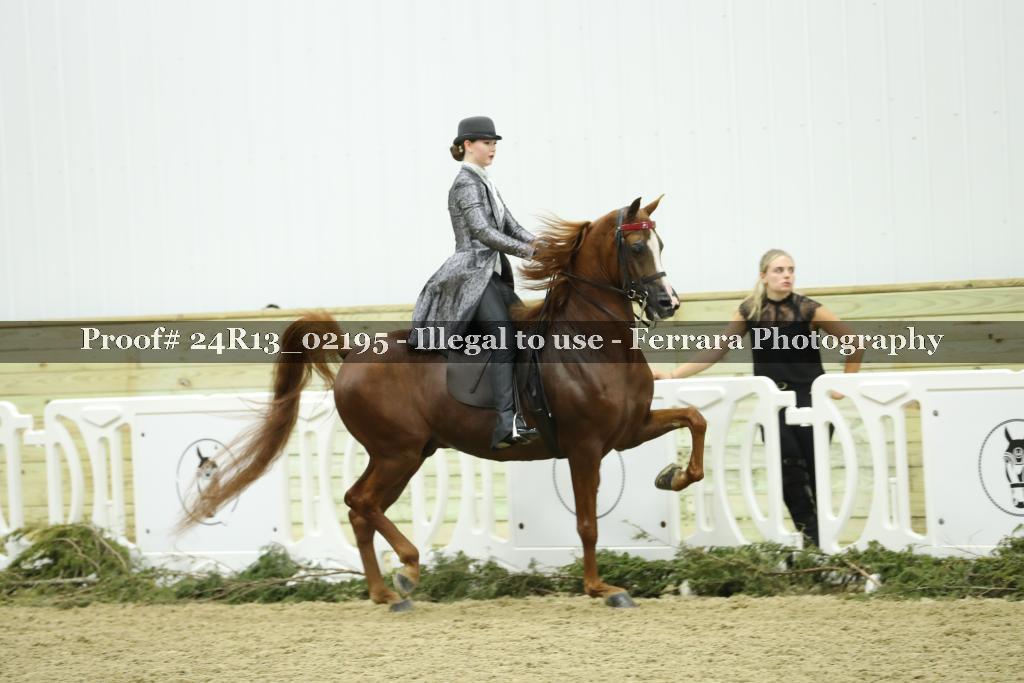 Proof Number 24R13_02195