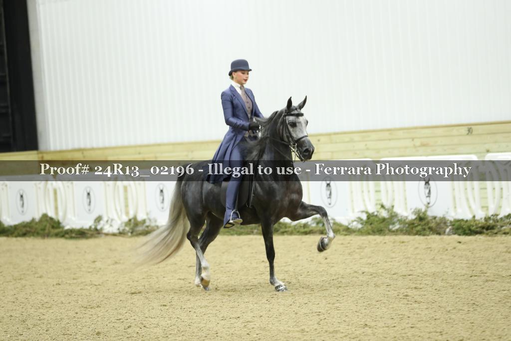 Proof Number 24R13_02196