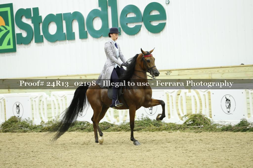 Proof Number 24R13_02198
