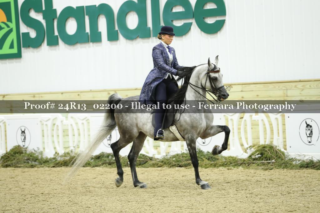 Proof Number 24R13_02200