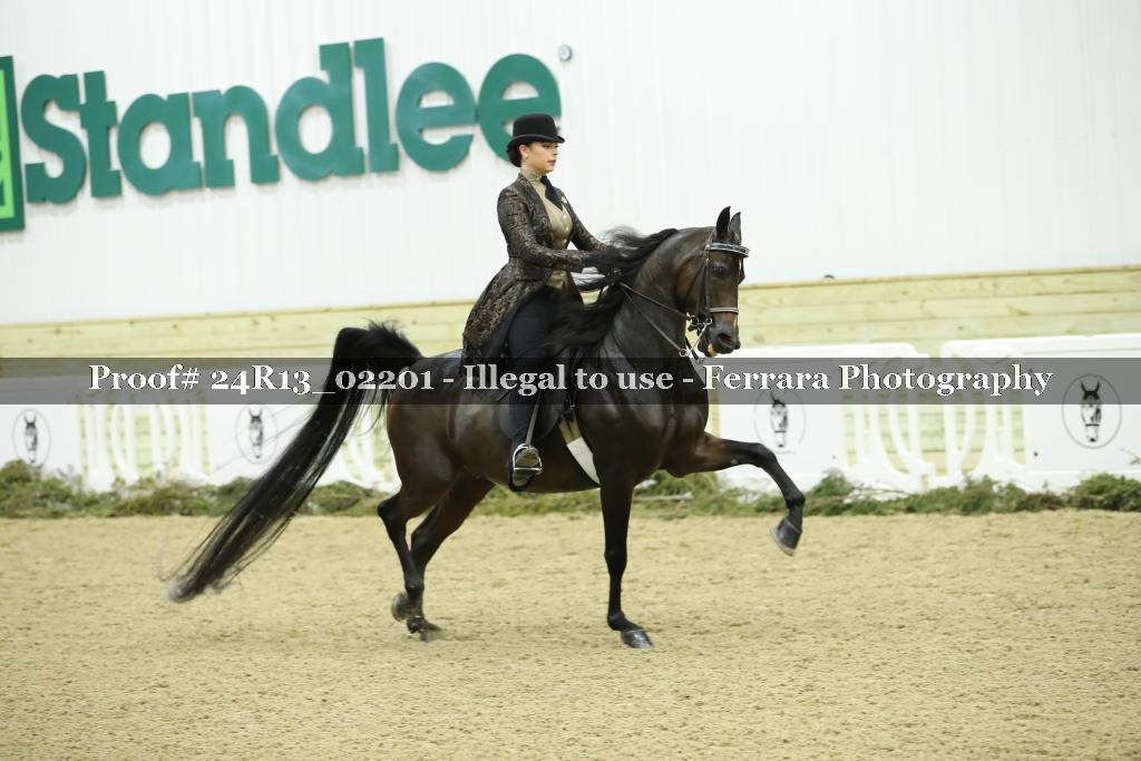 Proof Number 24R13_02201