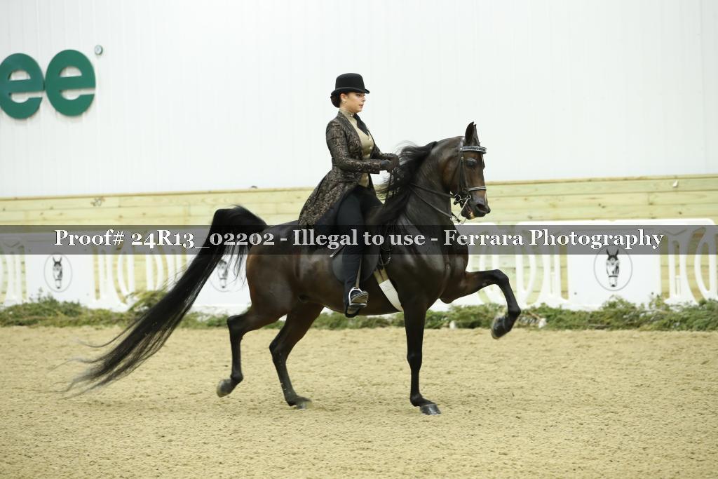 Proof Number 24R13_02202