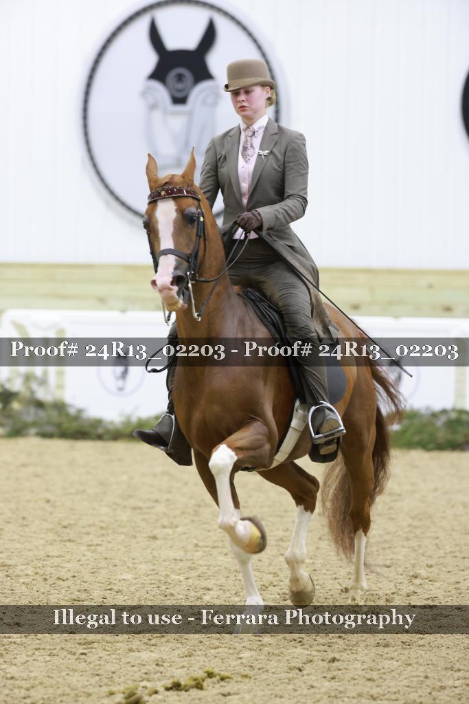 Proof Number 24R13_02203