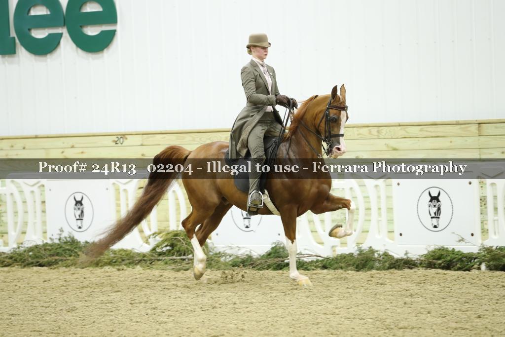 Proof Number 24R13_02204