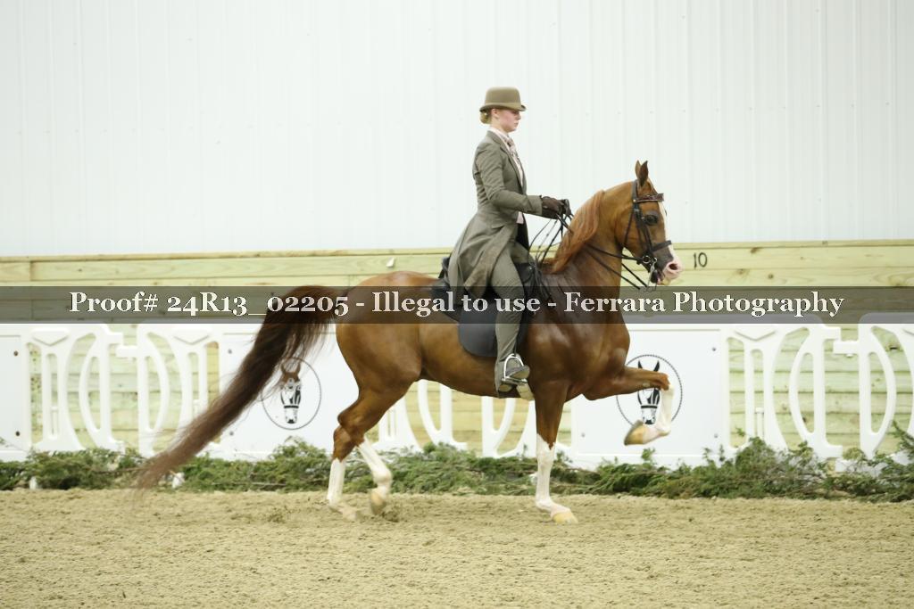 Proof Number 24R13_02205