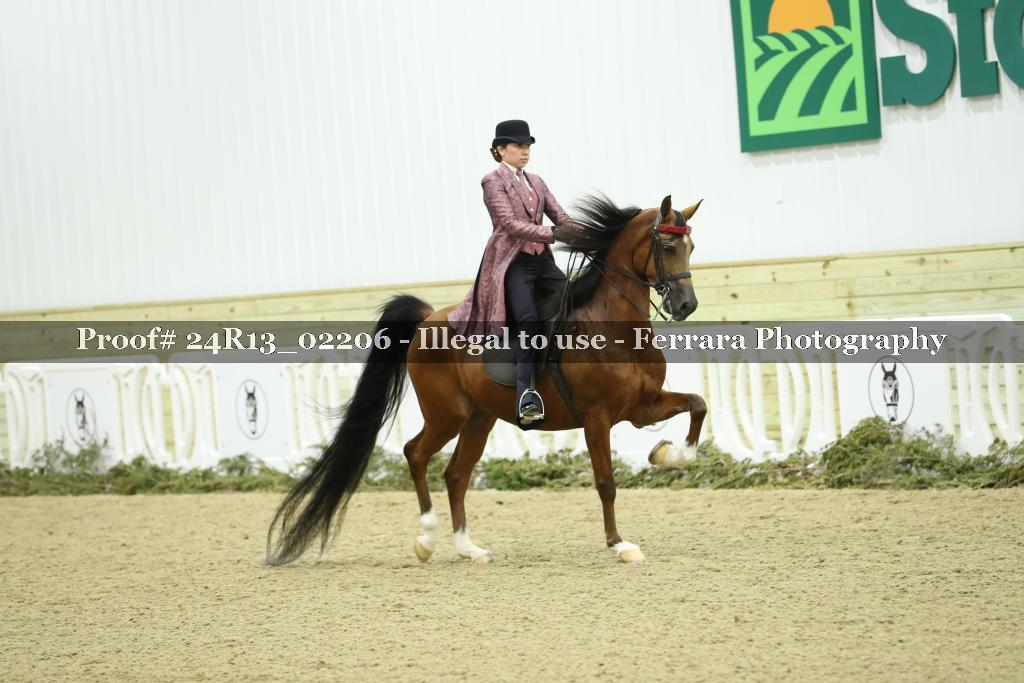 Proof Number 24R13_02206