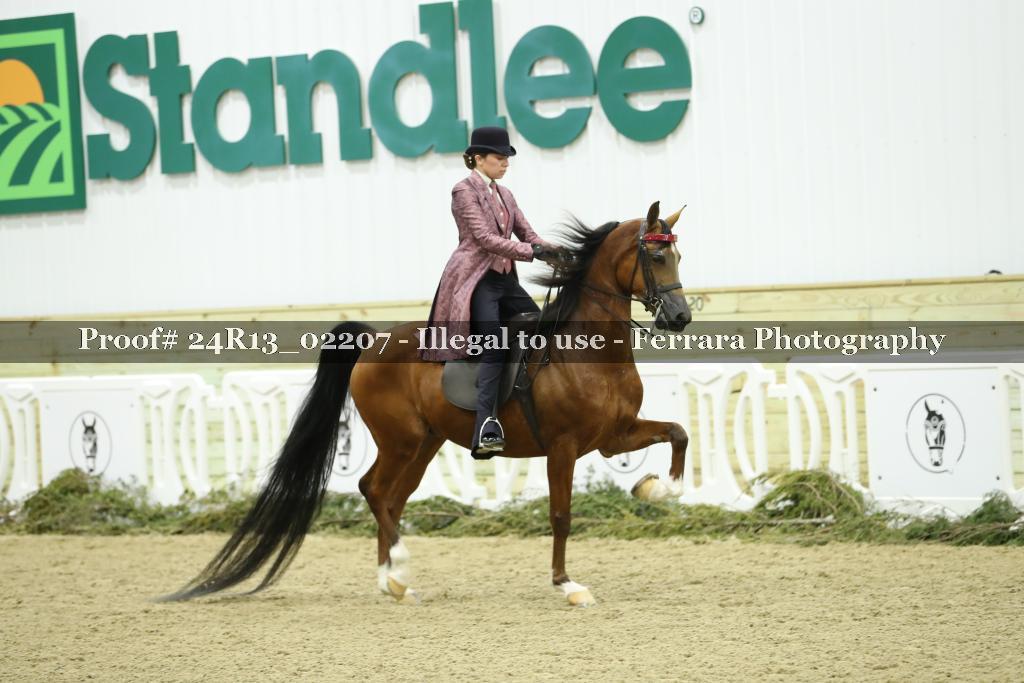 Proof Number 24R13_02207
