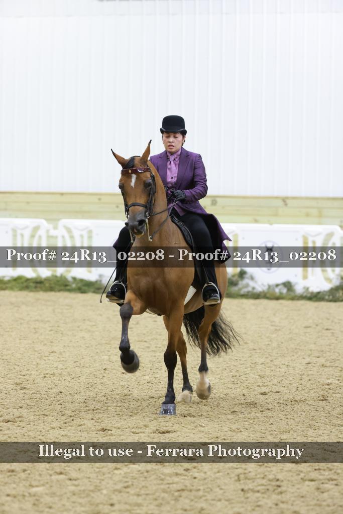 Proof Number 24R13_02208