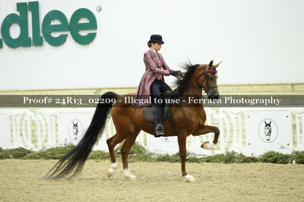 Proof Number 24R13_02209