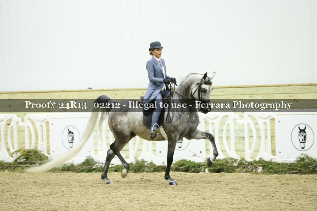 Proof Number 24R13_02212