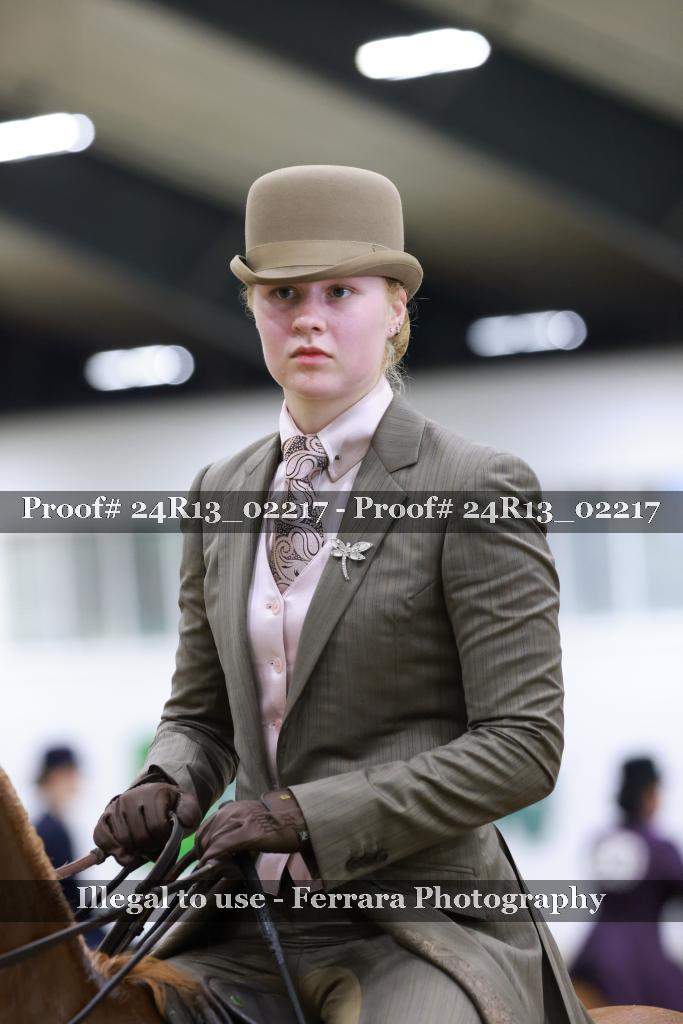 Proof Number 24R13_02217