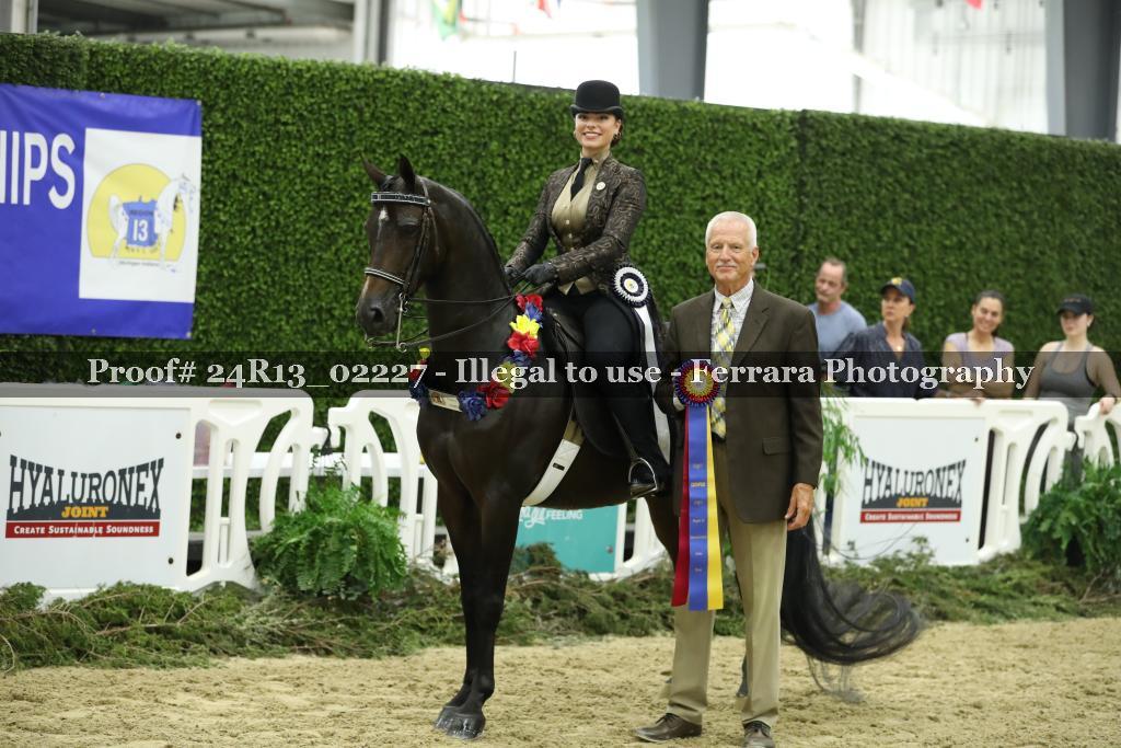 Proof Number 24R13_02227