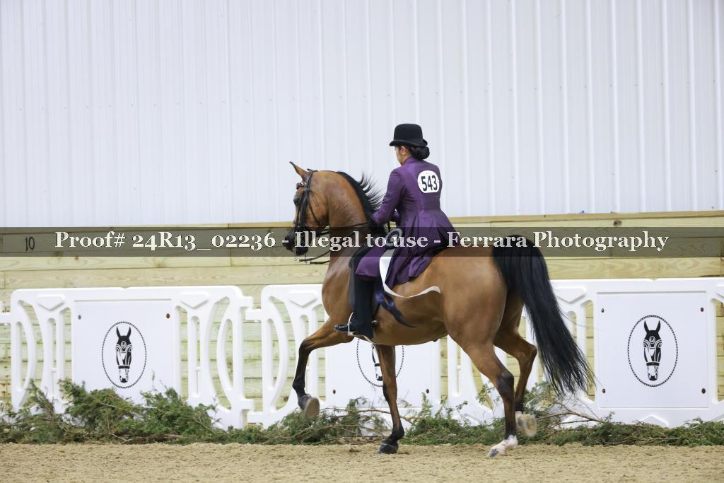 Proof Number 24R13_02236