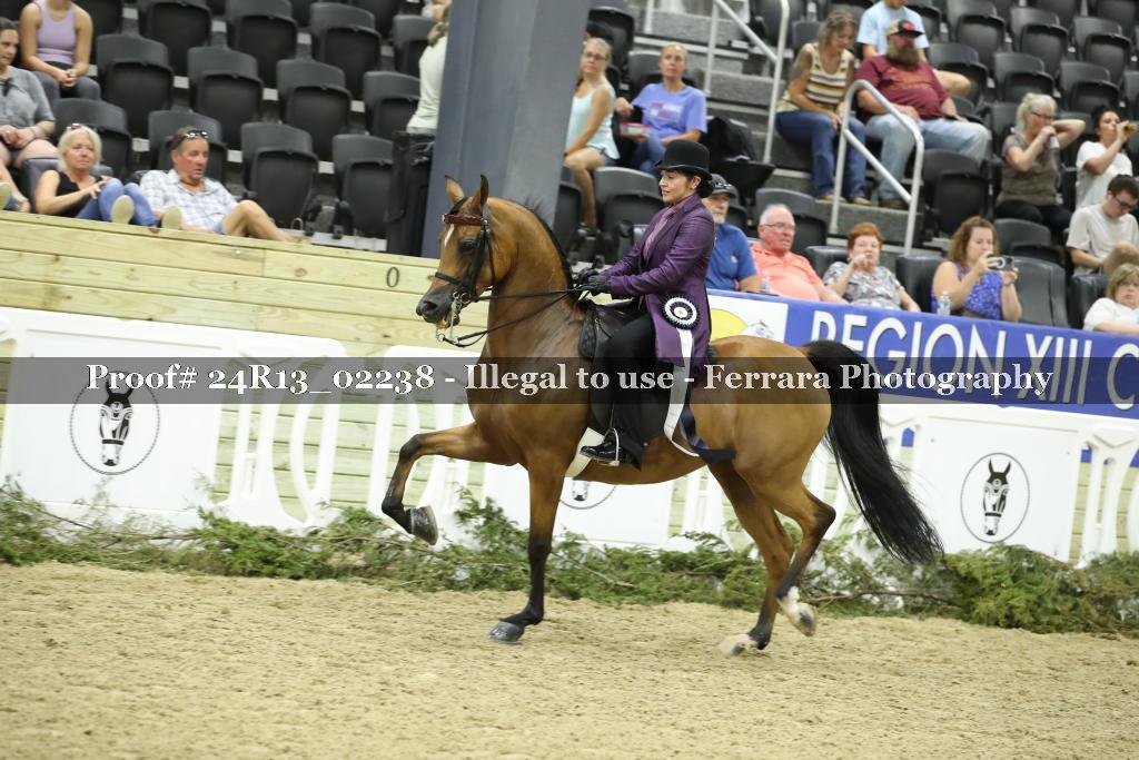 Proof Number 24R13_02238