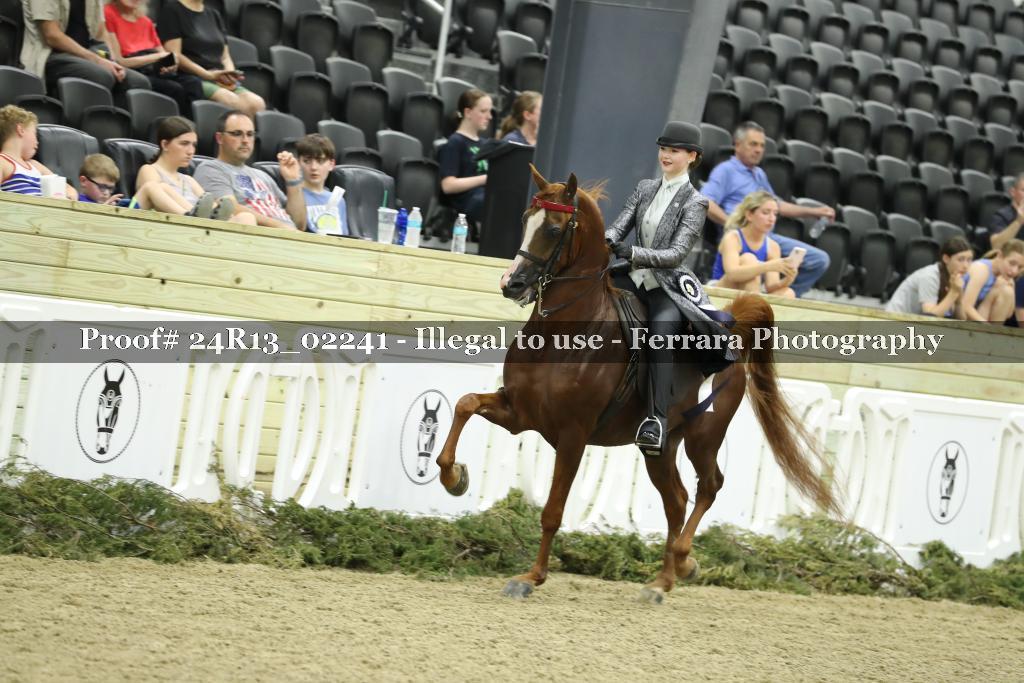 Proof Number 24R13_02241