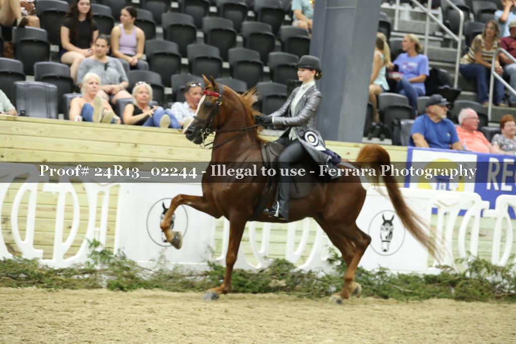 Proof Number 24R13_02244