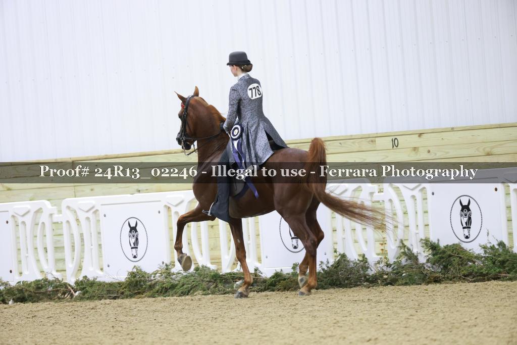 Proof Number 24R13_02246