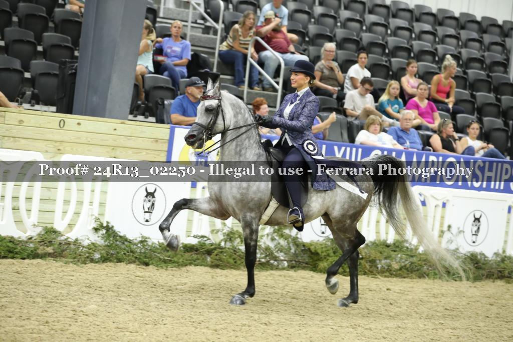 Proof Number 24R13_02250