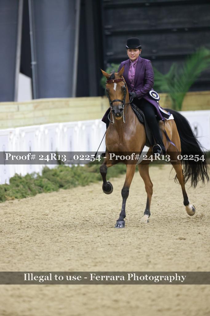 Proof Number 24R13_02254