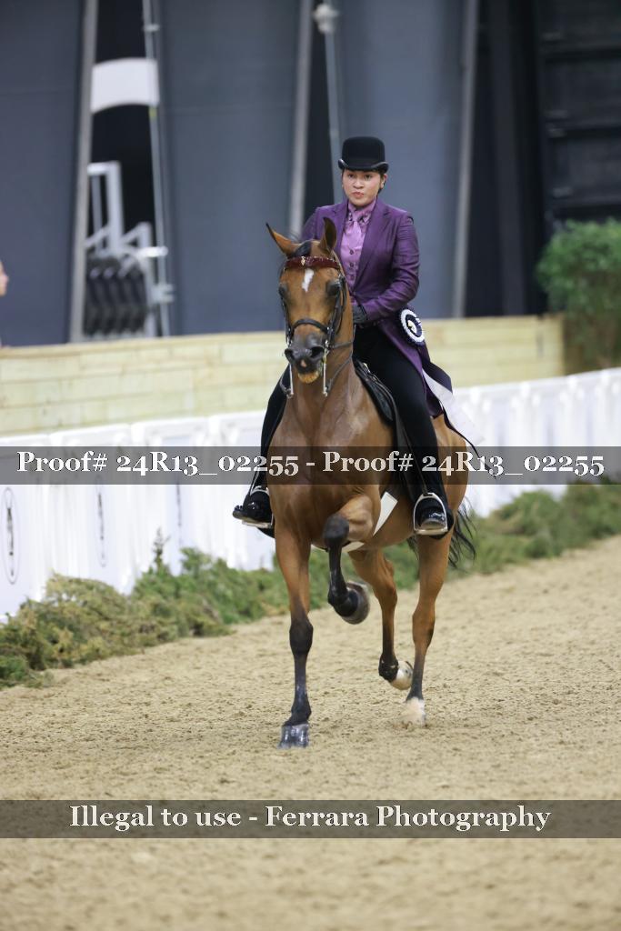 Proof Number 24R13_02255