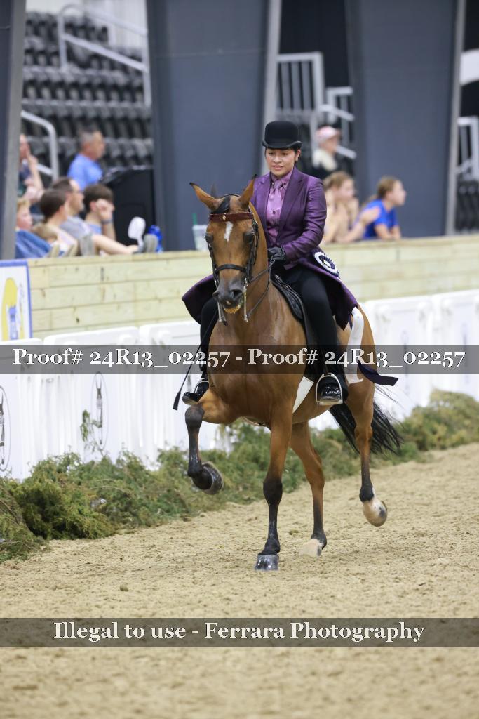 Proof Number 24R13_02257