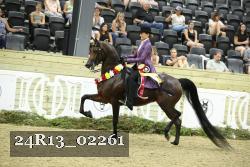 24R13_02261 thumbnail
