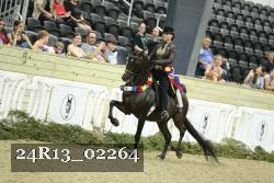 24R13_02264 thumbnail